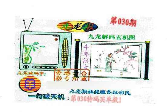 030期九龙报[图]